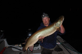 DAB750DB-825E-4239-A0FF-00FF9ECB985B