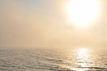 DAC8BED4-9475-4749-A0D0-46ACA836EBF6