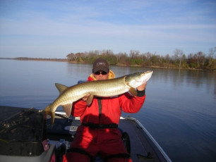 DB27ADFA-45D6-4C53-BD89-F75DC86E5F8D