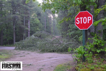 DB4D8980-3FB8-47E9-9D39-5C8775148819