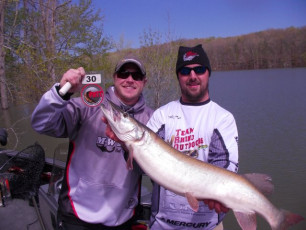 DB5B3EBE-A38F-43CE-9D3C-A3F3AE7E5152