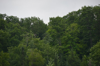 DB8EFB39-2CDA-4556-AF2F-8C1446E7A618