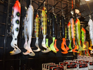 DC75D83C-E16E-4EDD-9E3B-A3687AE2B2E8