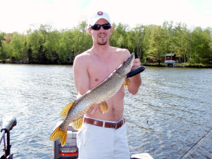 DC7D1D32-0E40-4EF9-8256-7B07ABEAE365