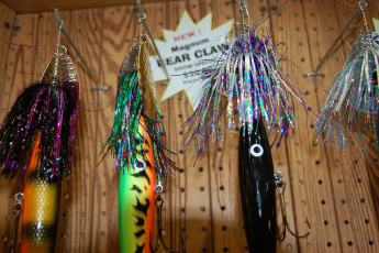 DCC07FE4-7E24-4EC7-9D0F-30C3C3389C5F