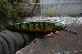 DD26564A-3D95-4F04-AC18-D1C975E3570B