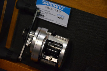 DF9FF183-68E4-4D8F-8E1C-1E7C7F24B565