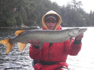 DFCCC8F7-2DCF-43B0-86A9-E44BDEEB4C72