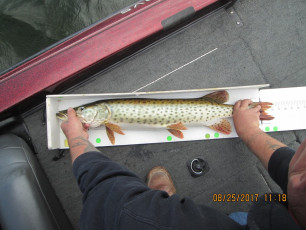 DFDE7EEE-608E-4D03-B81C-3845E44D2F45