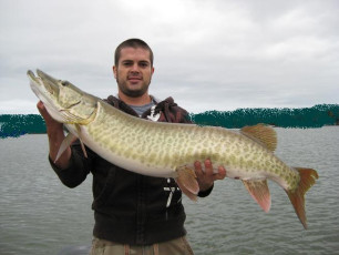 E0DDD353-4F8D-411B-8677-81394B8349C4