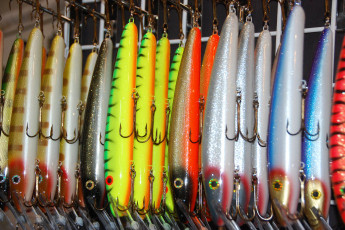 E2A446F9-26F1-46AD-9173-3DF9CB3B391F