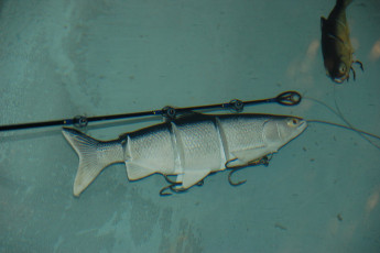 E2B6E352-61C0-451D-8C89-282300518F1A