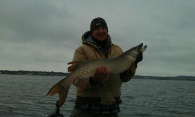 E316EF50-05D6-4C99-ACDD-1DADEAE5312B