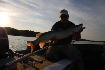 E3845A8F-ADFF-4FF6-BDA6-4722168B2559