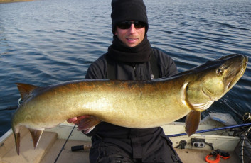 E41FEBCE-4D36-4A03-A0D0-DACE7C272675