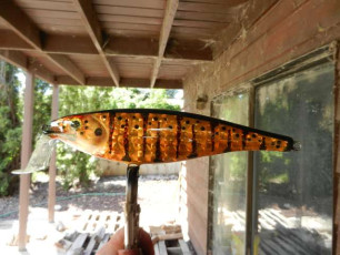 E4B58637-23FA-4091-8178-27169D792696