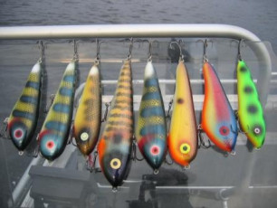 E53B31E1-8C06-4C43-9C14-6F7E5FB2A13C