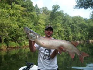 E54B0FD0-DD62-4A77-9B29-E5707FC989B2