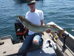 E56B8189-4F7D-428D-96AB-EAE1073F65E7