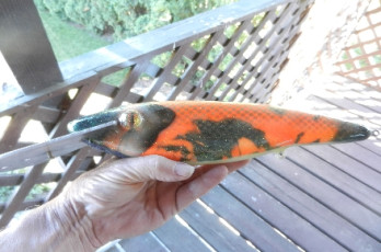 E5B6C59F-34B0-4735-99C3-37FCD7974E9D