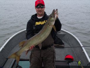 GEDSC DIGITAL CAMERA