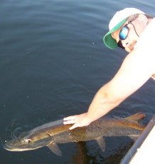 E6B063B4-AF36-4739-8FB3-4C0EFA5BEF9D