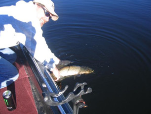 E70B56CC-37FD-4D59-9F7E-D8E66C6E24C3