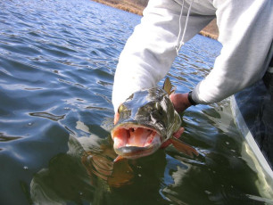 E76E6556-120B-4124-9E9D-3AE132825872