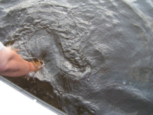 E7EFFC26-17DB-4EFD-AF75-2B16F18C2CE4