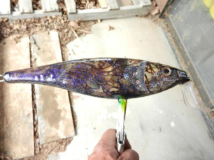 E8BBC7F0-6103-4A28-8BD3-880B899C9D48