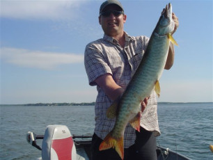 E8EFDC73-23B0-403D-B174-907BED3DB694