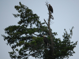 E936C51A-0B17-4CA9-A983-B6B44B1C27DB