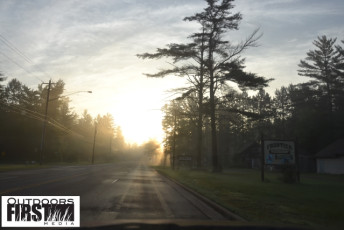 EA08DFEA-1978-4323-B6C0-7DDC88F007C4