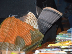 EB37E865-6A42-40AC-8912-E08F762094FC