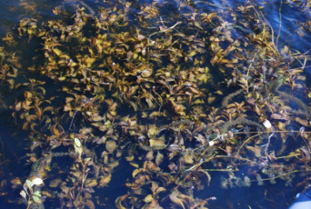 EBD03207-2A2D-4990-9EA9-18A3F583F278