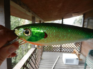 ECDD294E-5463-4657-82BB-7FE9A74C42EF