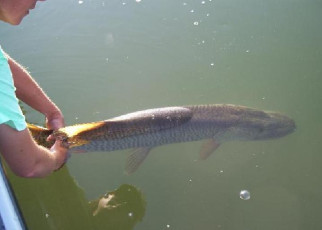 EE22A4D9-8260-4BE9-9283-937CA312E3C6