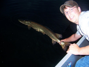 EE3A4E1A-3E20-499C-A7ED-12A0AA4C8E22