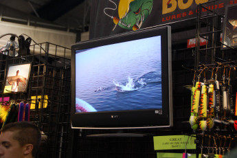 EE4C150C-8C25-484E-B61C-6C6DADFD9EA7