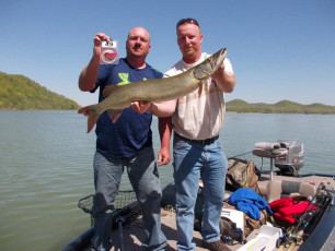 EF334C02-5F29-4BD2-8C2D-51577A09C669