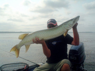 EFD4046C-EAB4-445B-907A-AB220F4DFDD1