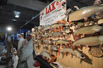 F095E047-5152-45A0-9666-0CF7679758B4