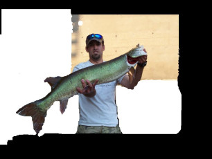 F0ECF511-C92B-4A9E-B12E-2CC8F5B3C383