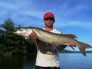 F17093F9-1AA0-4A8E-9CC4-C3F41C9C366F