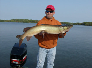 F22F6990-3F4A-4053-91FF-E474809AB992