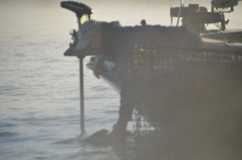 F2685D99-2727-41D7-A679-D96FFE417D8F