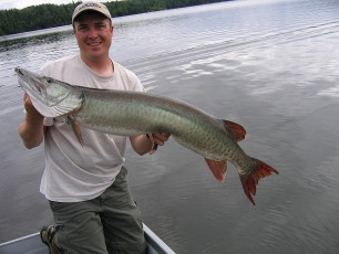 F2A0B8CE-EE9C-49CB-9354-87A9CFA9DF74