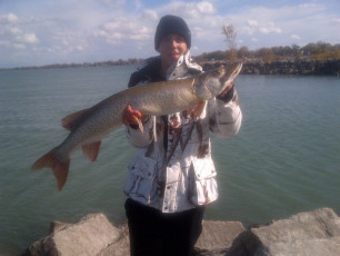 F30DC02B-352F-448B-8D14-D0A41CDA1F18