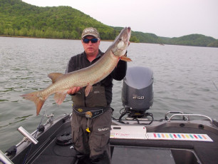 F3DD44A4-44F2-4D88-8AF0-86D6AAD82474