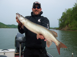 F3F8FE78-5FA4-4EA7-B20F-6DA74E9877F3